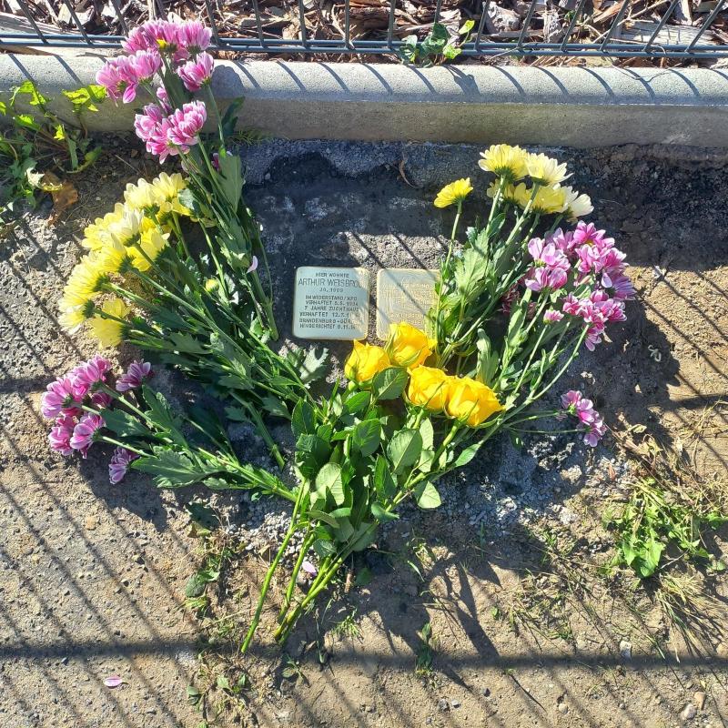 Stolpersteine Frida und Arthur Kurt Paul Weisbrodt