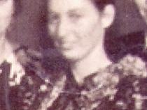 Fotografie von Alice Pulvermann.