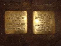 Stolpersteine für Alfred und Sophie Marcus