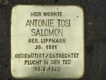 Stolperstein für Antonie Tosi Salomon, Foto Stolpersteine-Initiative CW, Siebold
