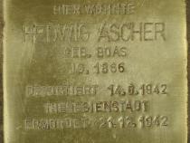 Stolperstein für Hedwig Ascher © Stolpersteine-Initiative CW, Hupka