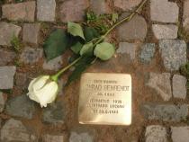 Stolpersteine für Familie Behrendt (Bild: Projekt-Stolpersteine)