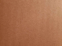 Jenny Schima Schefflan © privat