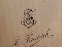 Jenny Schima Schefflan © privat