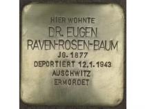 Stolperstein Dr. Eugen Raven-Rosen-Baum © H.J. Hupka