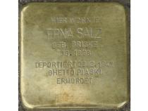 Stolperstein Erna Salz, Foto: H. J. Hupka