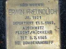 Stolperstein Erwin Freundlich / Museum Neukölln ©