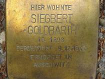Atolperstein Siegbert Goldbarth © S.Davids