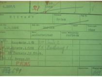 Die Karteikarte des befreiten Häftlings Harold Blitzer, Theresienstadt. Quelle: National Archive Prague, © Národní archiv, Praha, Národní archiv Praha, Okupační vězeňské spisy, Originální kartotéka židů terezínského ghetta (oder Nationalarchiv Prag, Besatzungsgefängnisakten Die originelle Kartei der Juden aus dem Ghetto Theresienstadt/or National Archives in Prag, Occupation Detention Files, Original Card Index of the Jews of the Terezín Ghetto)