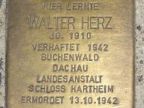Stolperstein für Walter Herz. Fotorechte: D. Janke.