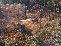 Margarete Koppels Grab in Berlin-Weissensee