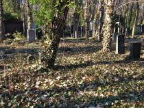 Grab Berthold Nordon in Berlin-Weissensee