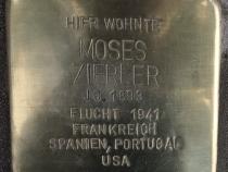 Stolperstein Moses Zierler @ Initiative Mitte