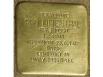 Stolperstein Resi Lilienthal, Foto: H.J. Hupka