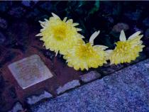 Stolperstein für Oskar Debus.