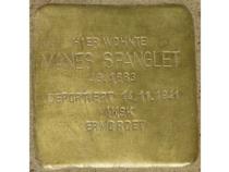 Stolperstein für Manes Spanglet; Foto: Bild: Stolpersteine-Initiative CW, Hupka