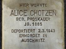 Stolperstein Alice Chotzen, Bild: Stolpersteine-Initiative CW, Hupka