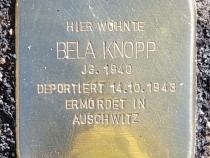 Stolperstein für Bela Knopp © OTFW