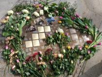 Stolpersteine Familie Scharlinski/Levy © Koordinierungsstelle Stolpersteine Berlin