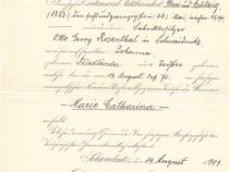 Taufzeugnis Käthe, Foto: privat